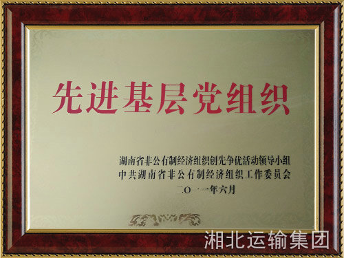 先进基层党组织