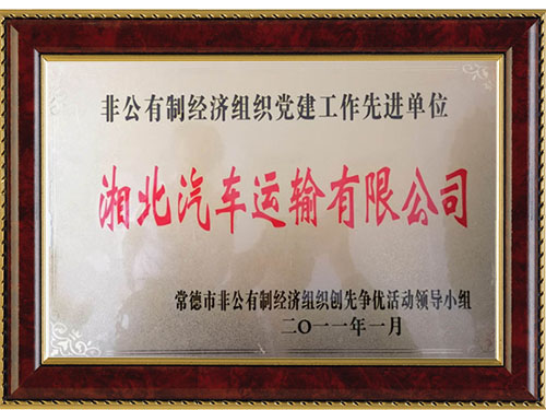 非公有制经济组织党建工作先进单位